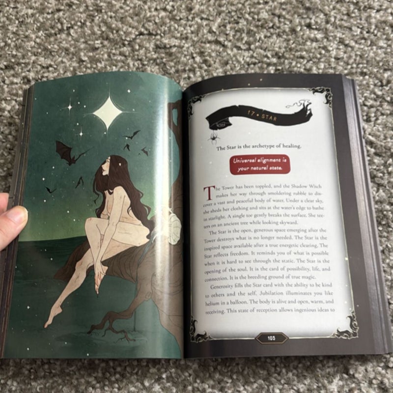 Your Guide Through the Dark Wood Tarot