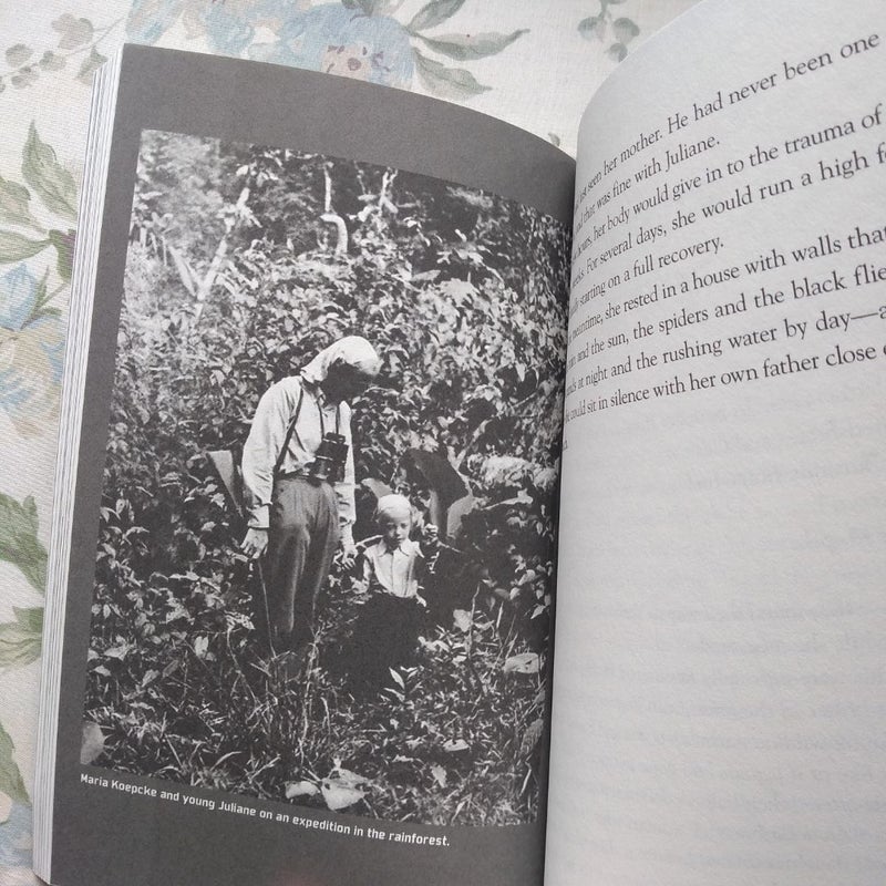 Lost in the Amazon (Lost #3)