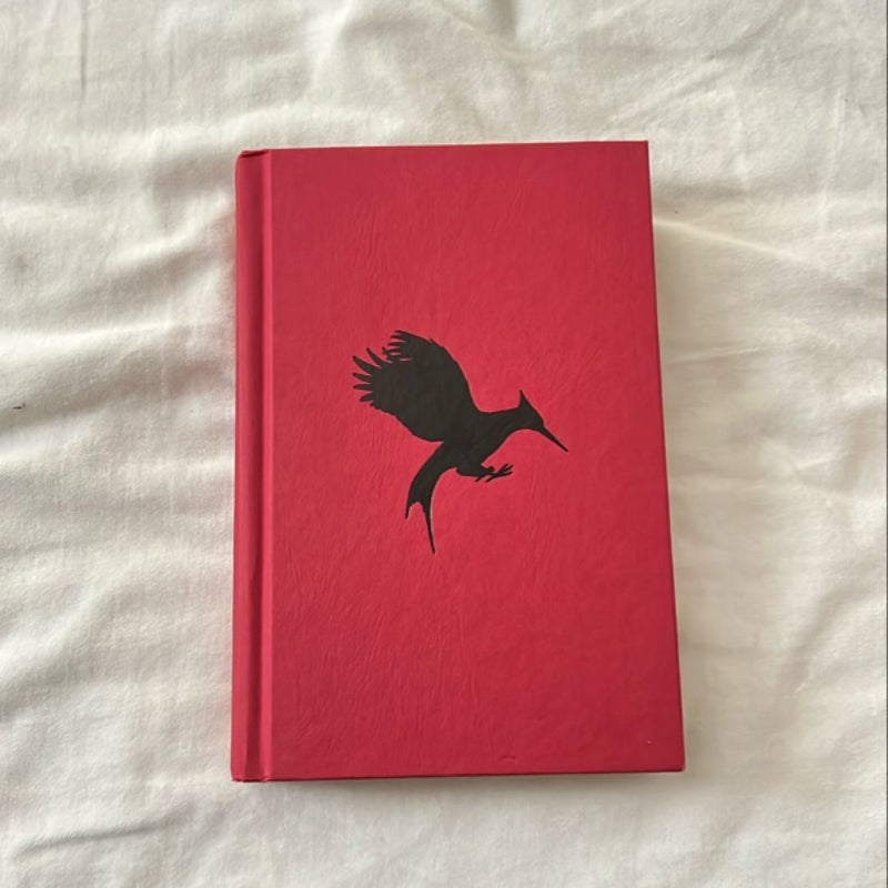 Catching Fire