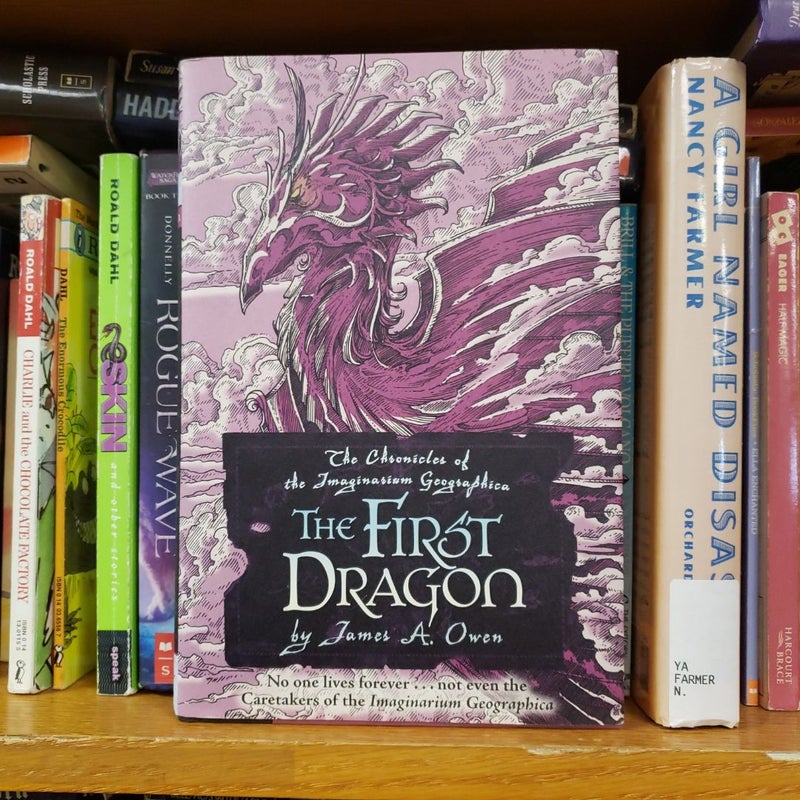 The First Dragon