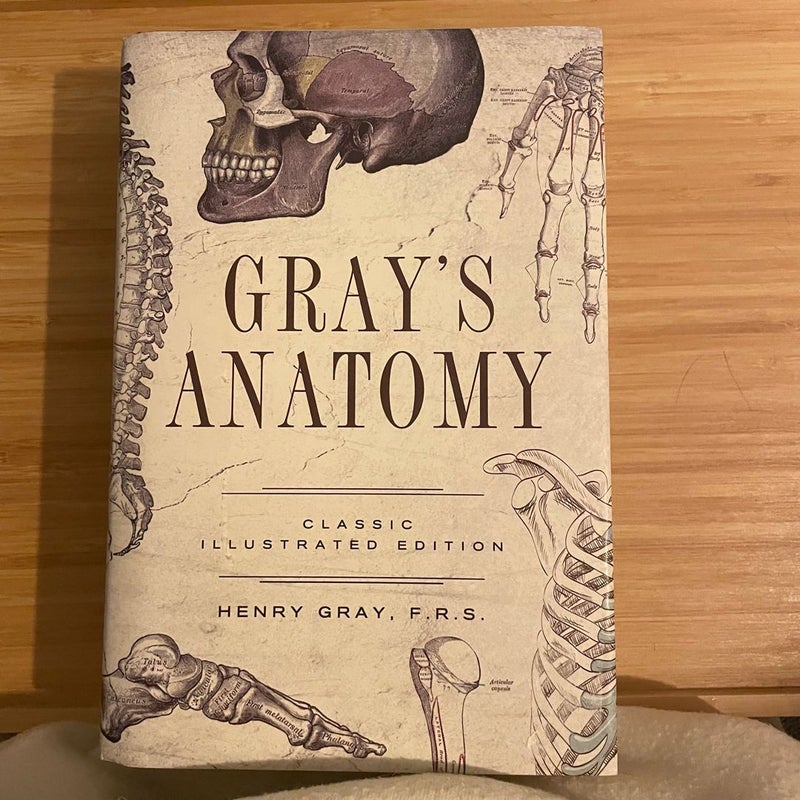 LAST CHANCE: Gray's Anatomy