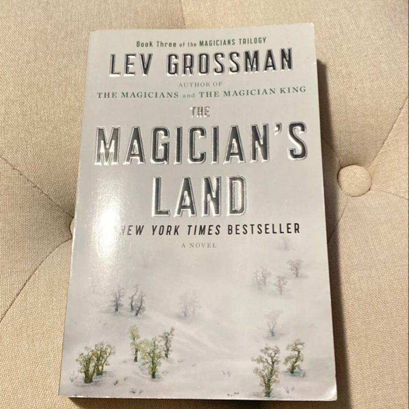 The Magician's Land