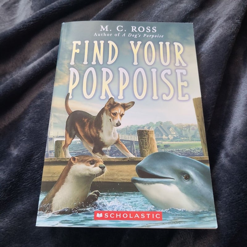 Find Your Porpoise