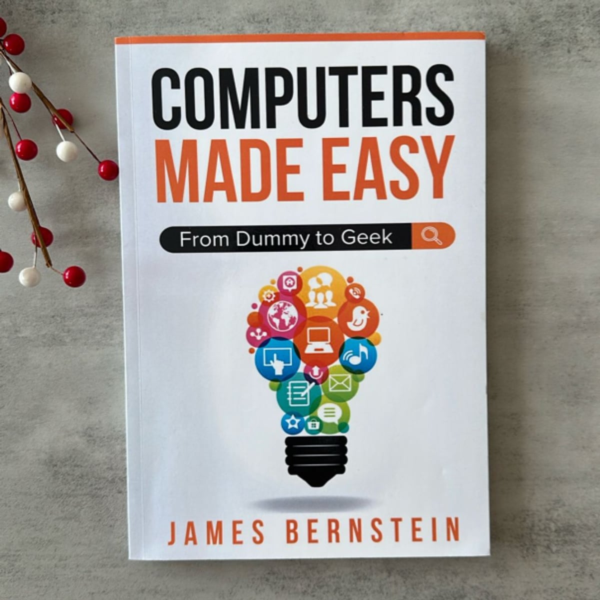 Computers Made Easy by James Bernstein, Paperback | Pangobooks