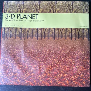3-D Planet