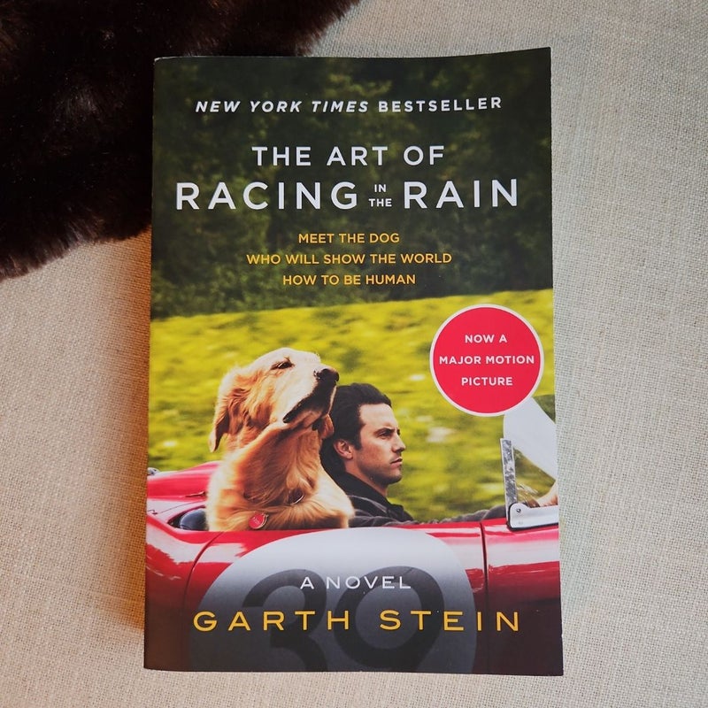 The Art of Racing in the Rain Tie-In