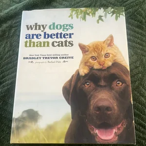 Why Dogs Are Better Than Cats