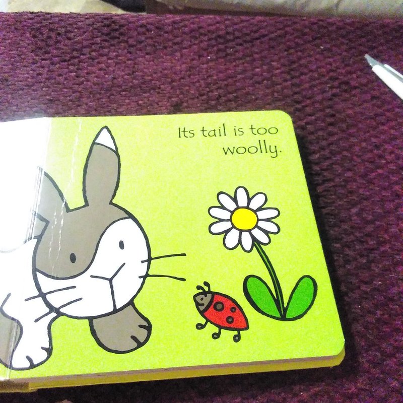 That's Not My Bunny...