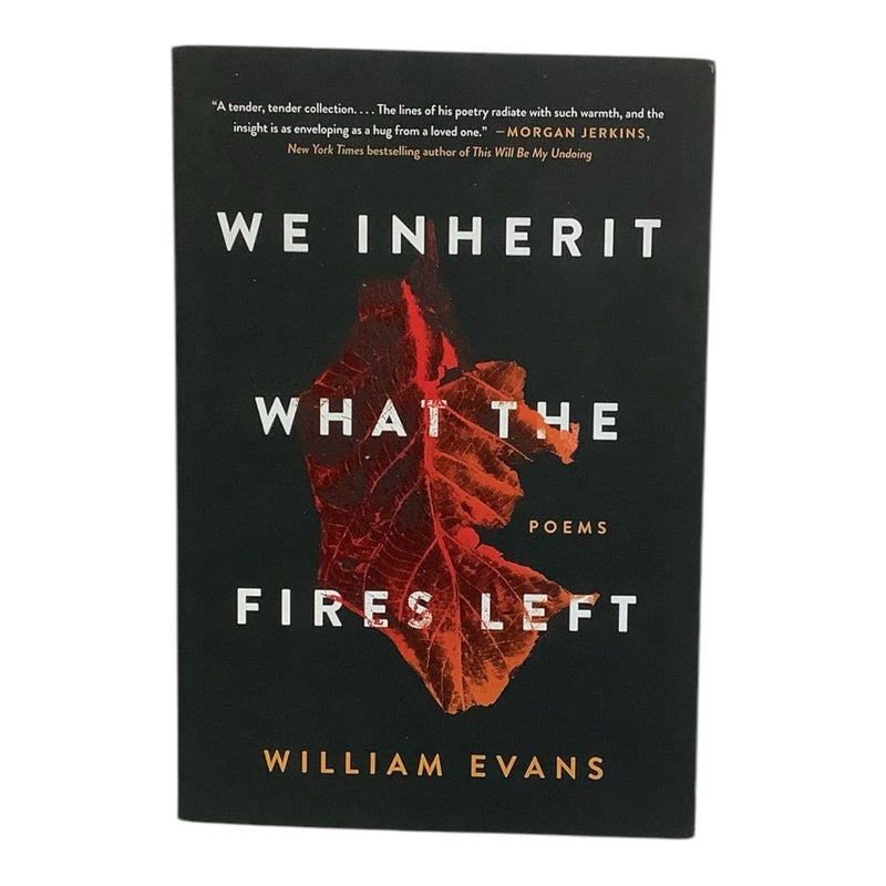 We Inherit What the Fires Left