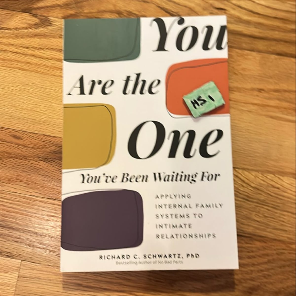 You Are the One You've Been Waiting For by Richard Schwartz