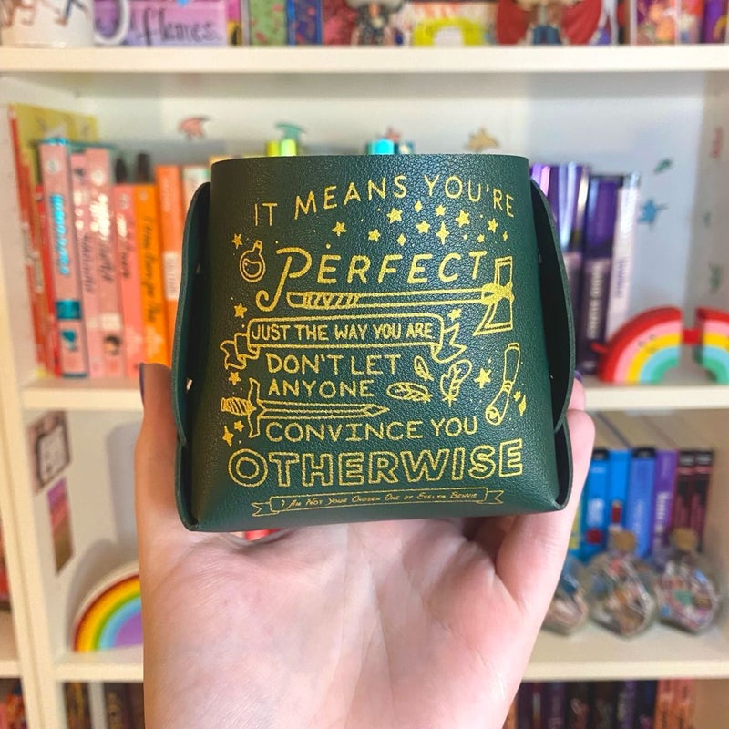 I Am Not Your Chosen One inspired pen and holder Rainbow Crate