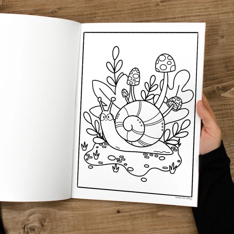 The Fairy Garden Coloring Book