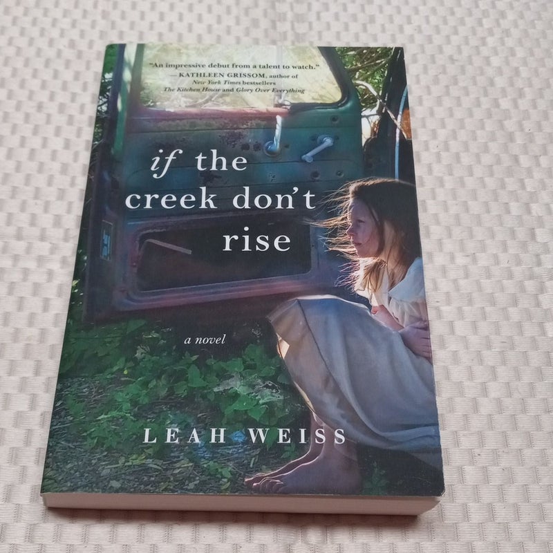 If the Creek Don't Rise by Leah Weiss, Paperback Pangobooks