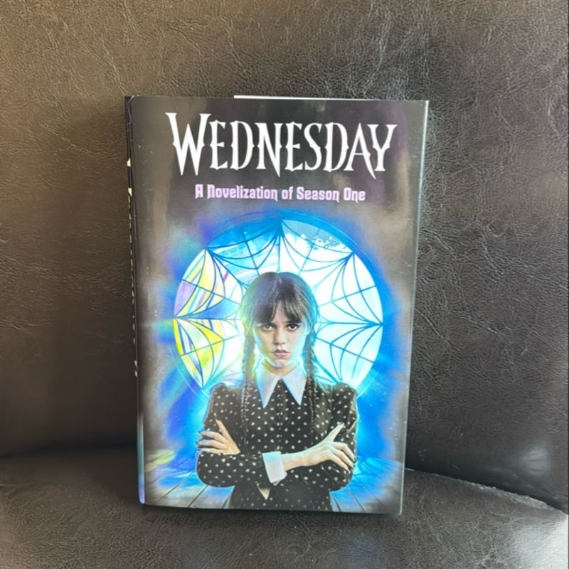 Wednesday: a Novelization of Season One