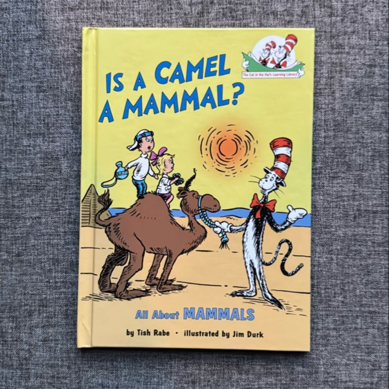 Is a Camel a Mammal?