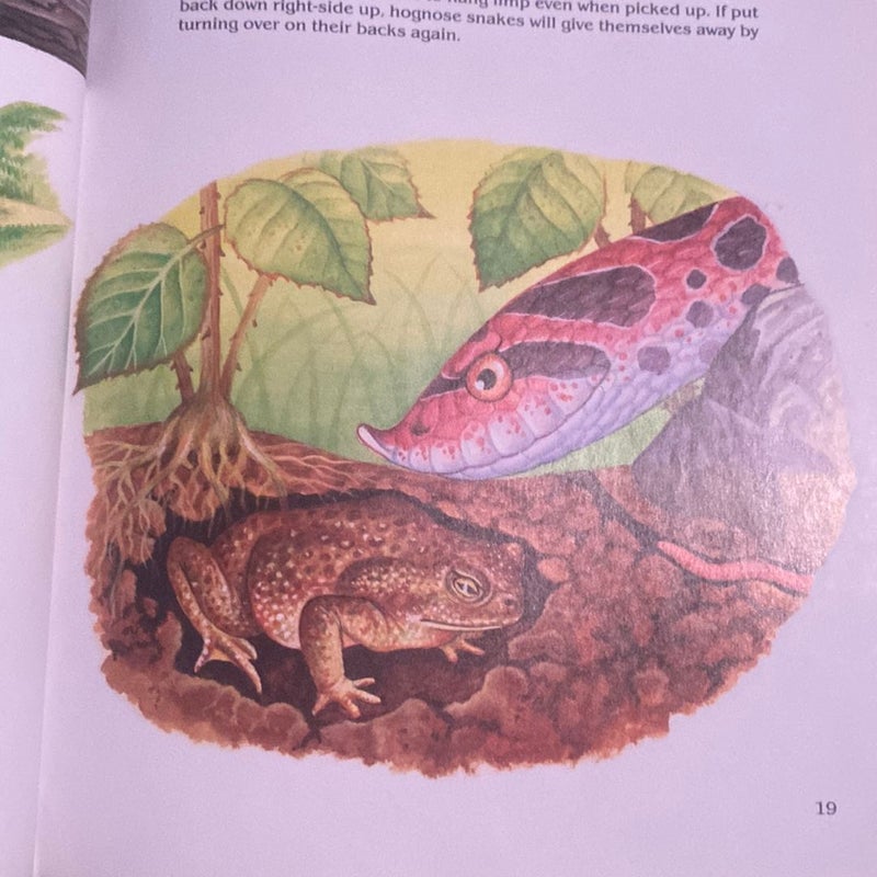 The Golden Book of Snakes and Other Reptiles