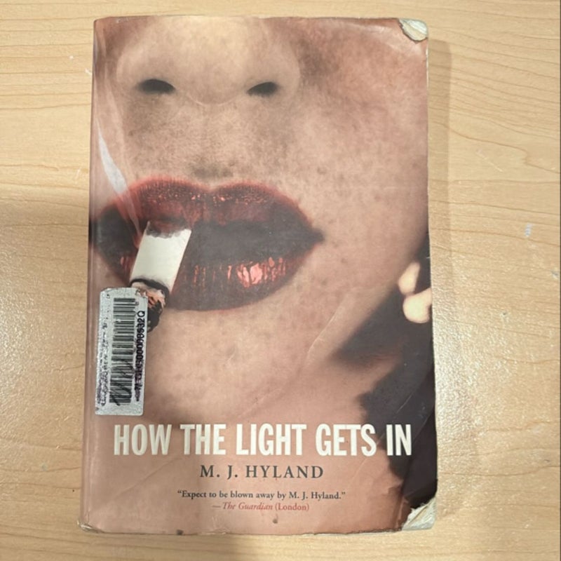 How the Light Gets In