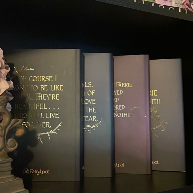 The Cruel Prince bundle 