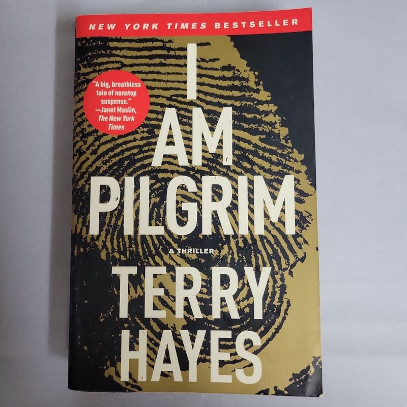 I Am Pilgrim