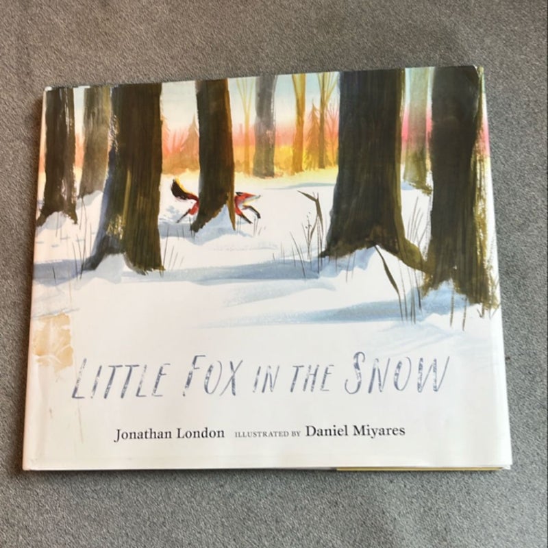Little Fox in the Snow
