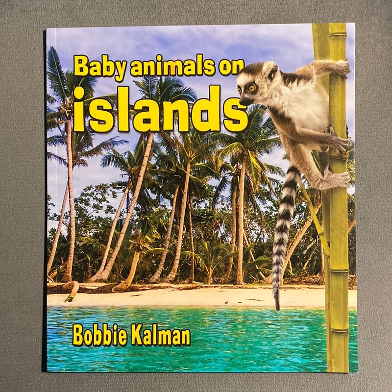 Baby Animals on Islands