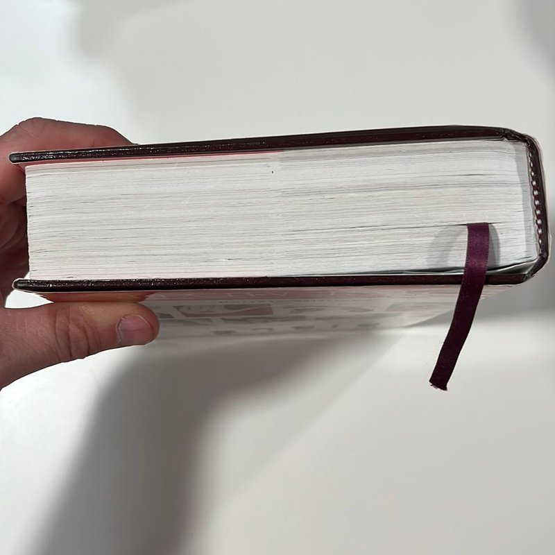 The Everyday Life Bible