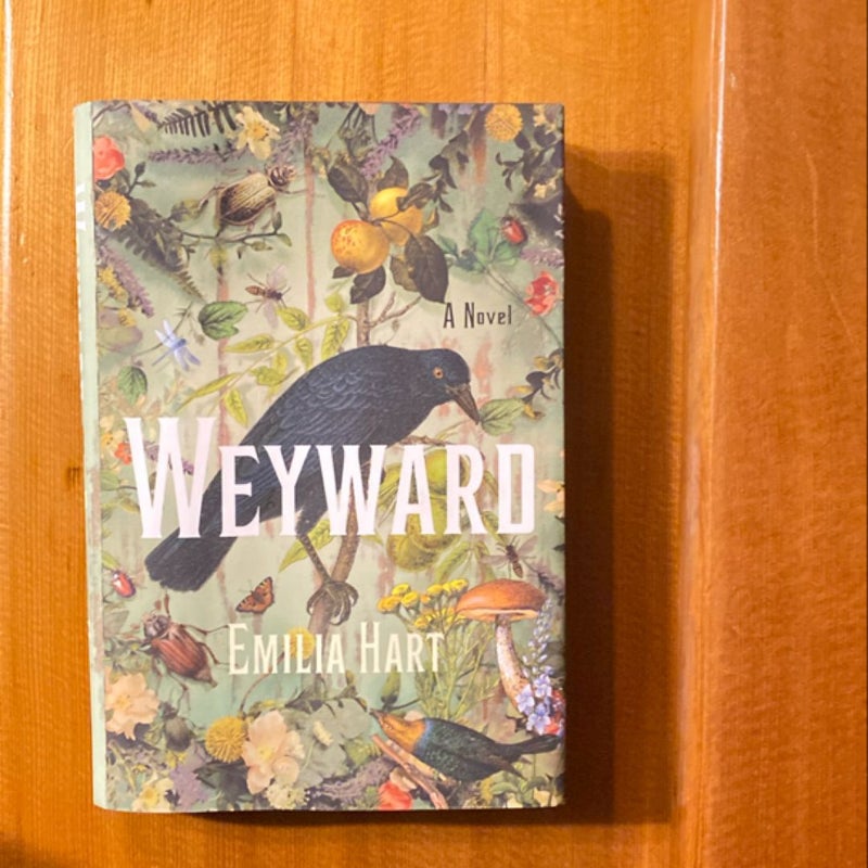 Weyward