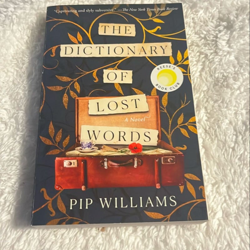 The Dictionary of Lost Words