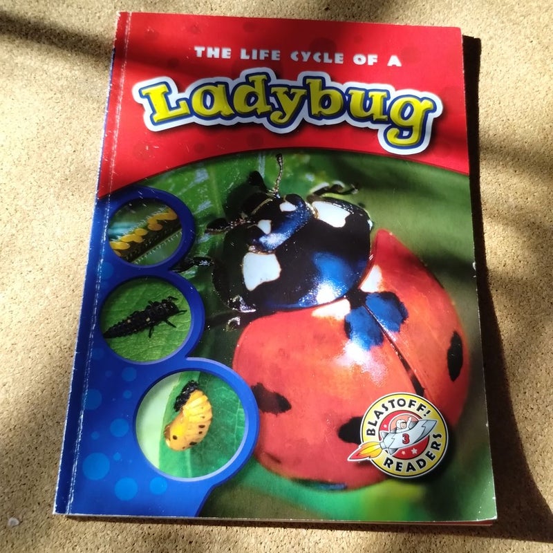 The Life Cycle of a Ladybug