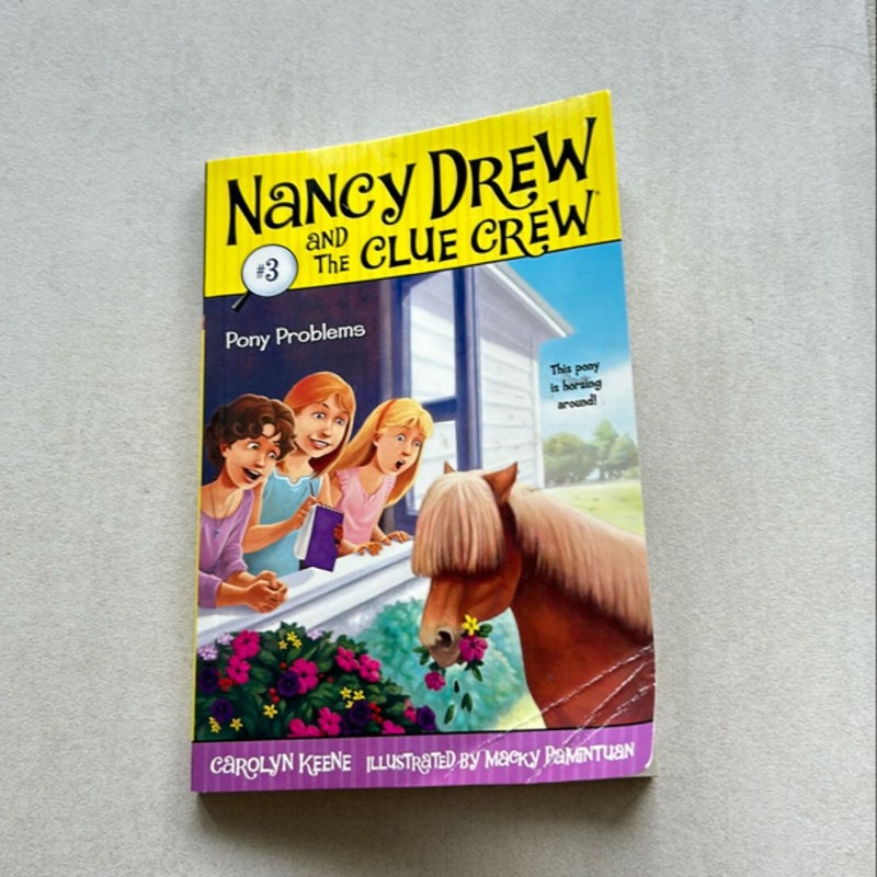 Nancy Drew and The Clue Crew #3