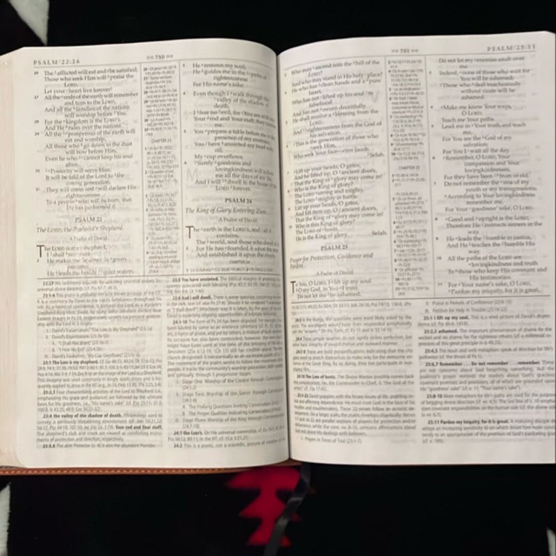 MacArthur Study Bible