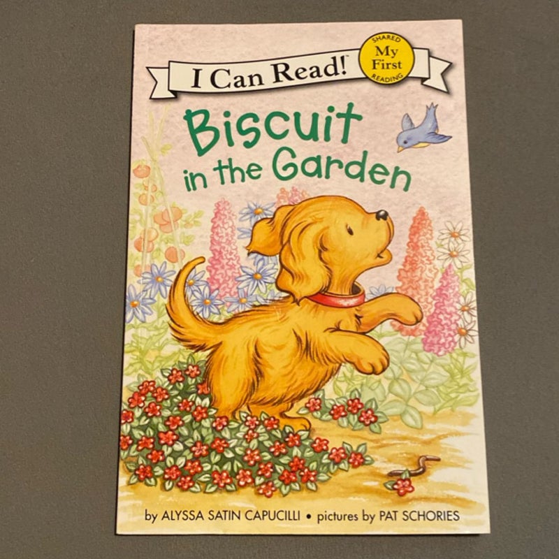 Biscuit in the Garden