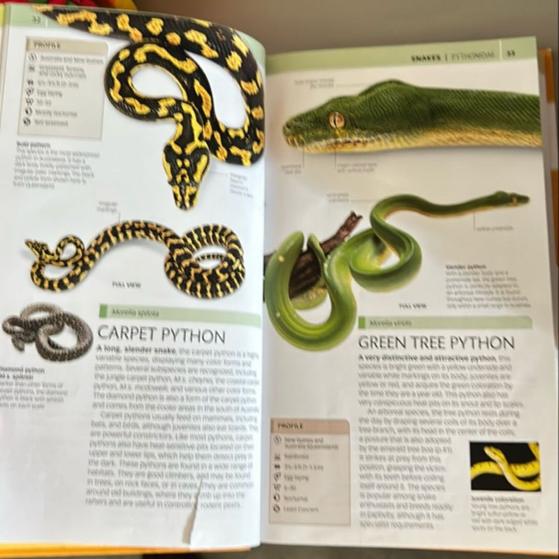 Nature Guide: Snakes and Other Reptiles and Amphibians