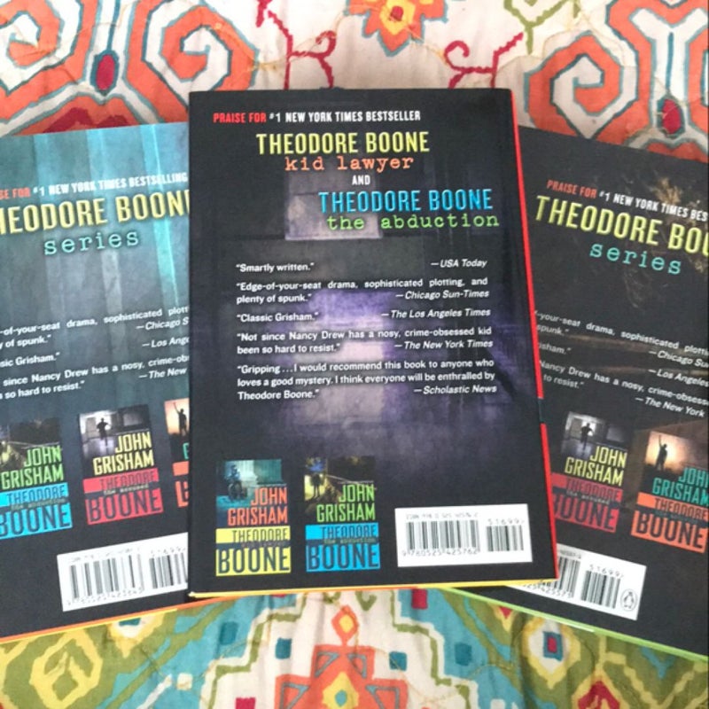 Theodore Boone: Kid Lawyer, The Accused, The Abduction