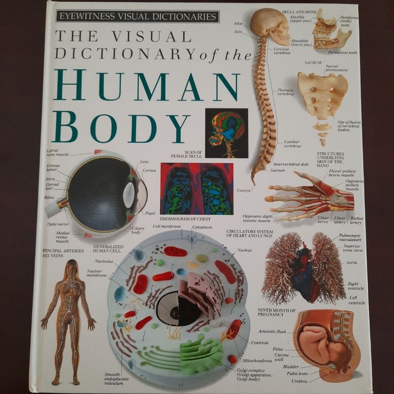 Eyewitness Visual Dictionaries: the Visual Dictionary of the Human Body