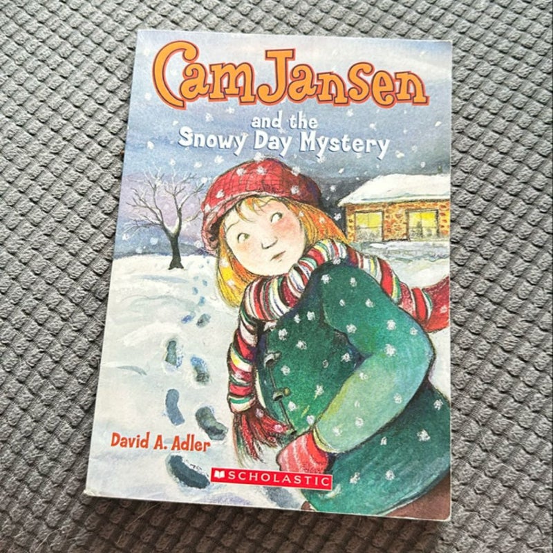 Cam Jansen and the Snowy Day Mystery