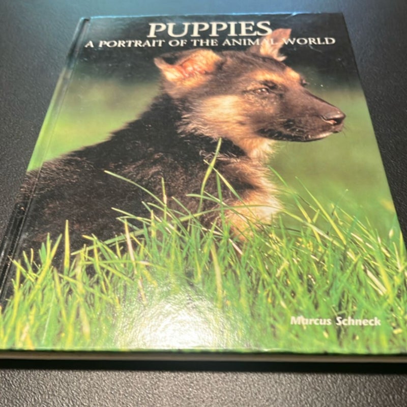 Puppies