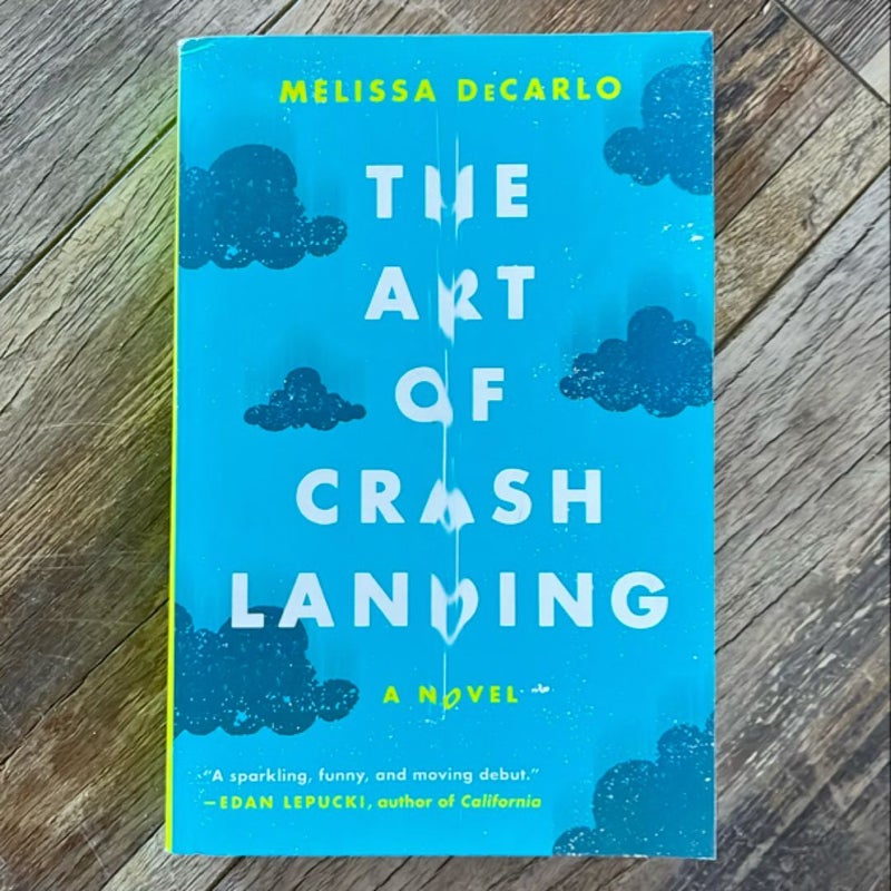 The Art of Crash Landing