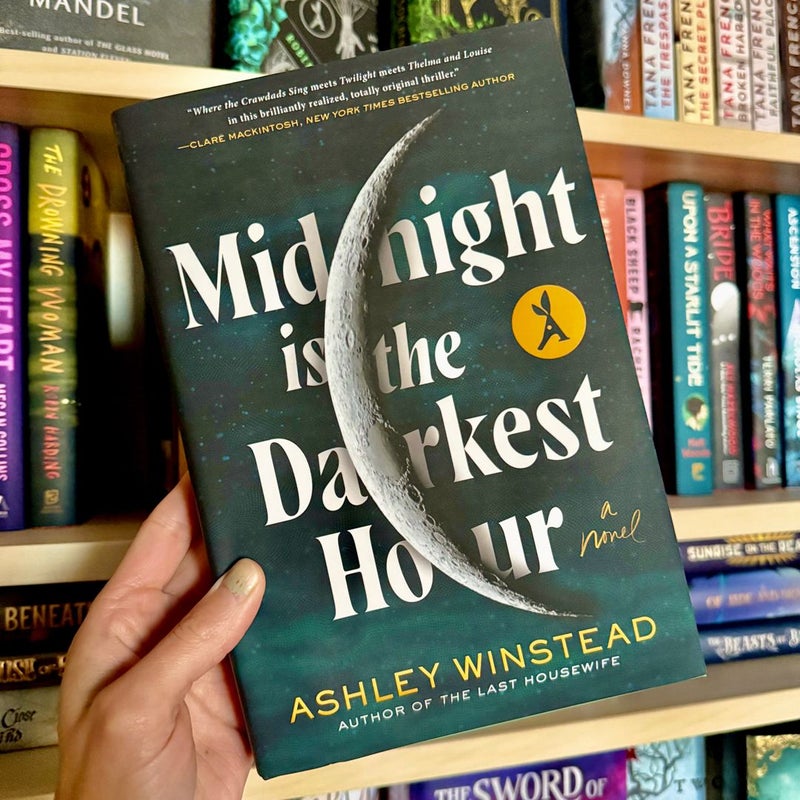Midnight Is the Darkest Hour Aardvark Edition