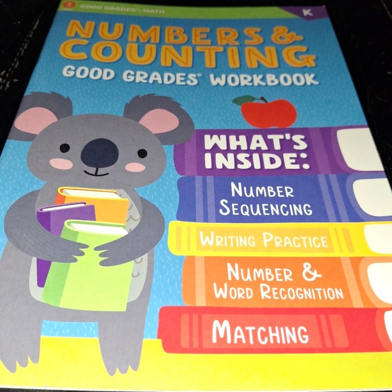 Numbers and Counting Kids Workbook