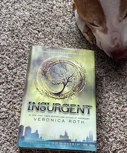 Insurgent