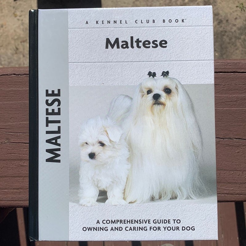 Maltese