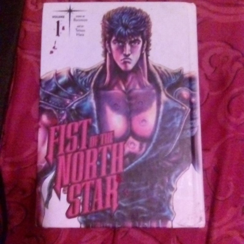 Fist of the North Star, Vol. 1