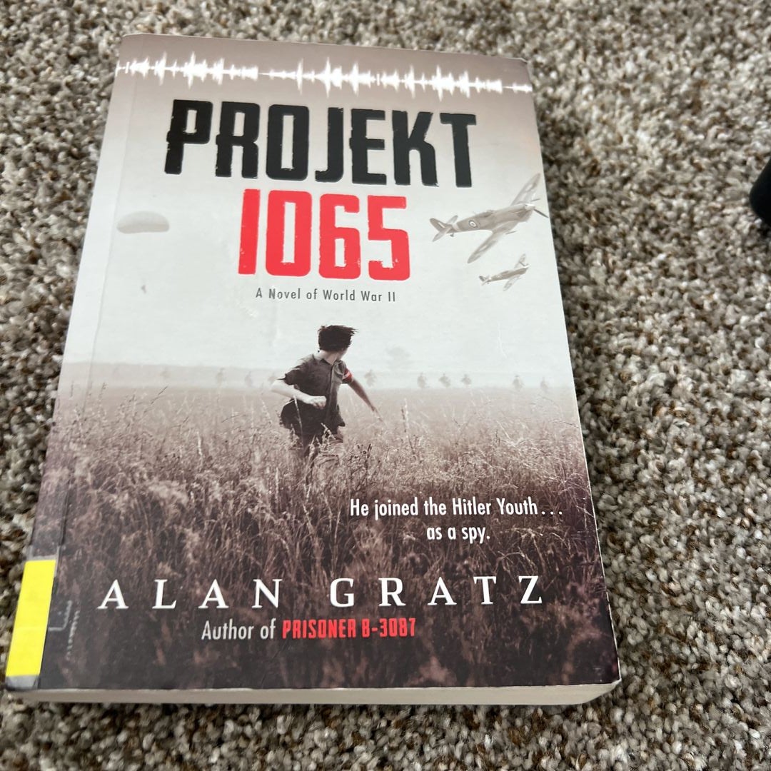 Projekt 1065