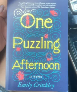 One Puzzling Afternoon