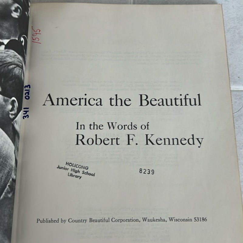America The Beautiful 