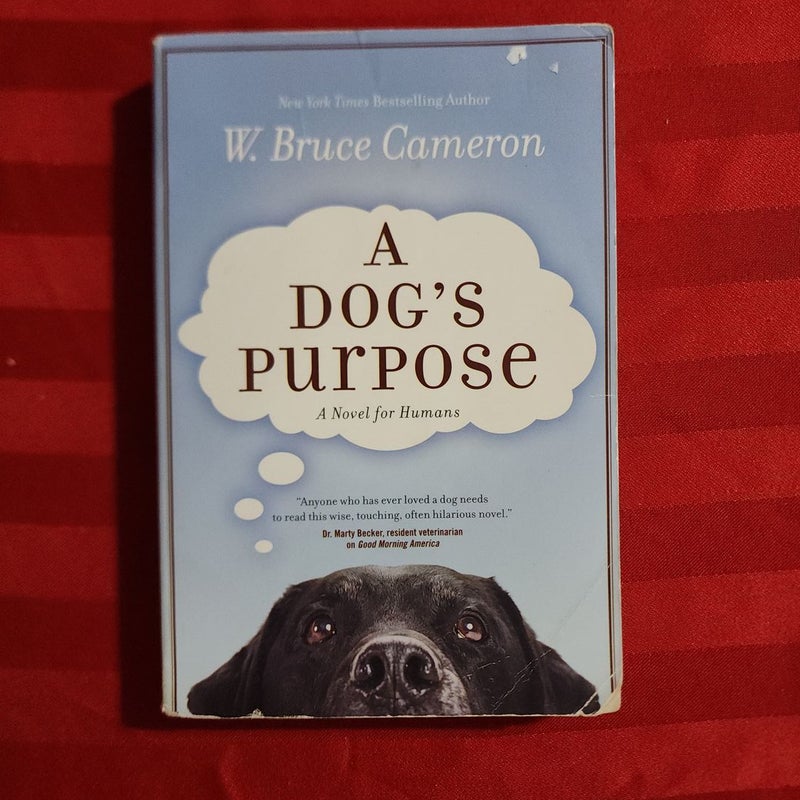 A dogs purpose