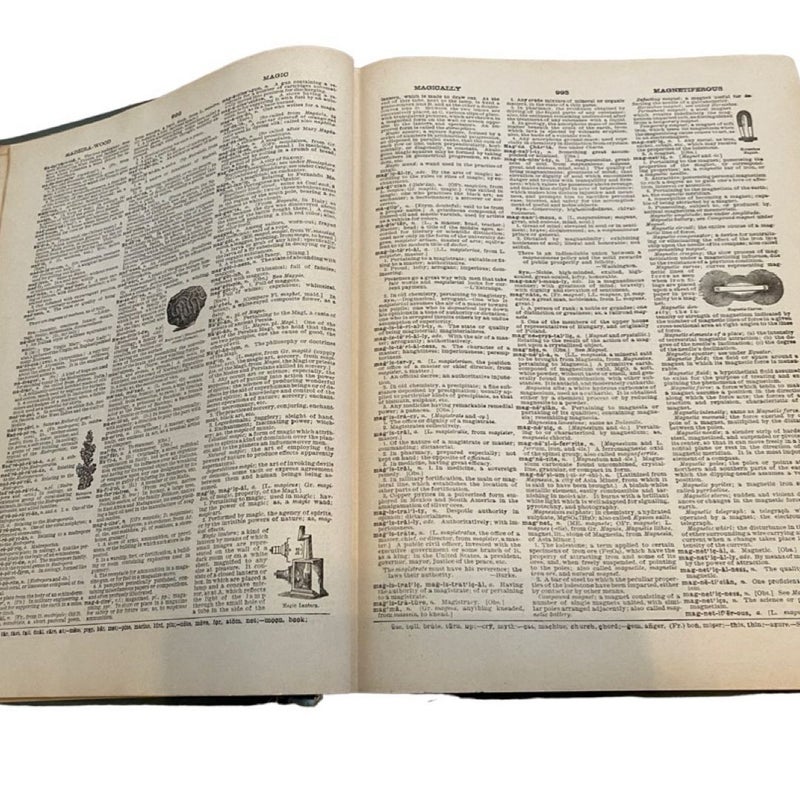 Webster’s Universal Dictionary of the American Language