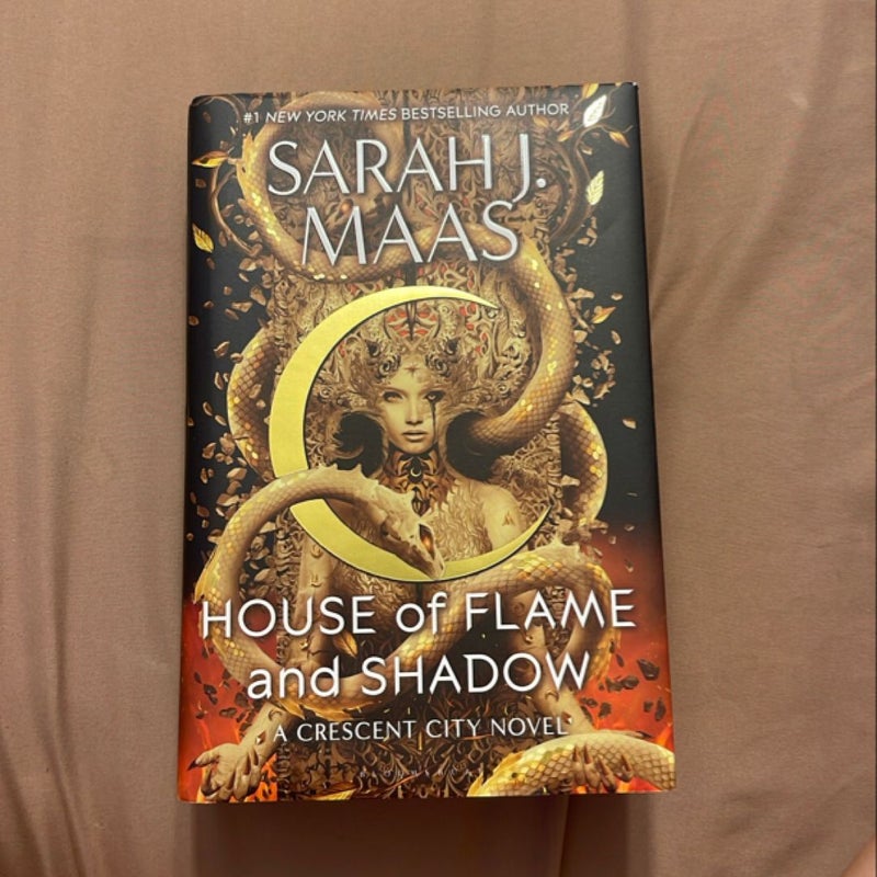 House of flame and shadow 
