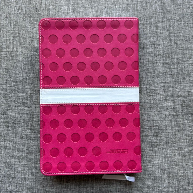 NIV Bible